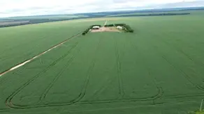 Fazenda Setor Central, Novo São Joaquim - MT — foto 1