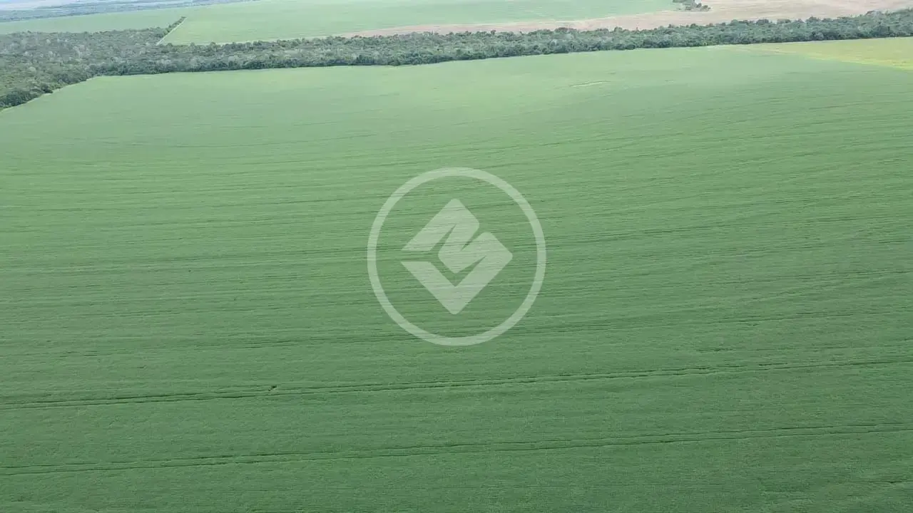 Imagem 1 - Fazenda em Setor Central, Novo São Joaquim - MT