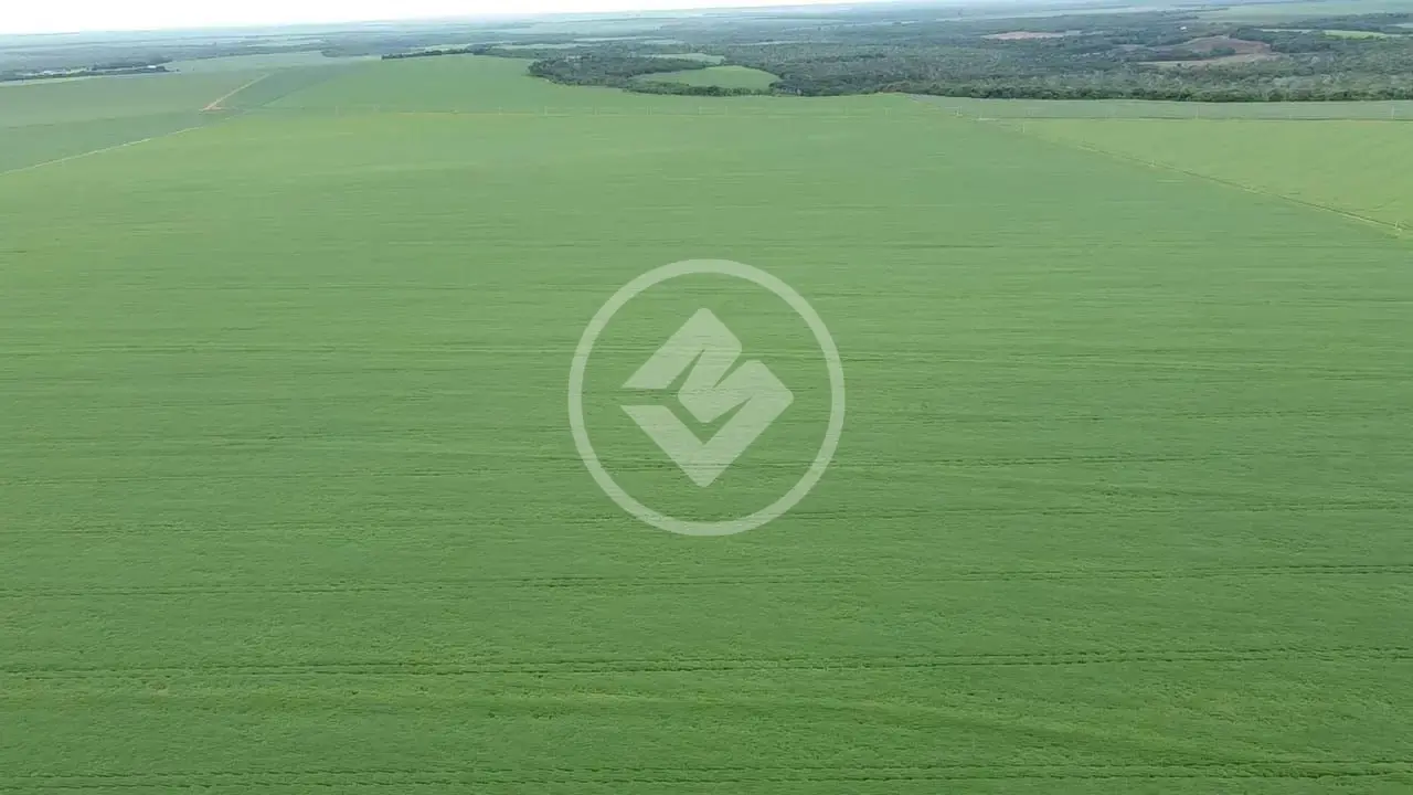 Imagem 3 - Fazenda em Setor Central, Novo São Joaquim - MT