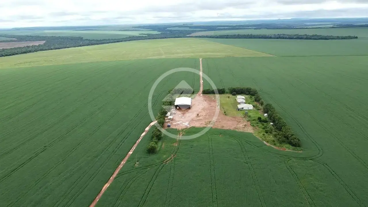 Imagem 4 - Fazenda em Setor Central, Novo São Joaquim - MT