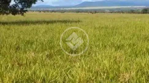 Imagem 4 - Fazenda em Centro, Araguaiana - MT