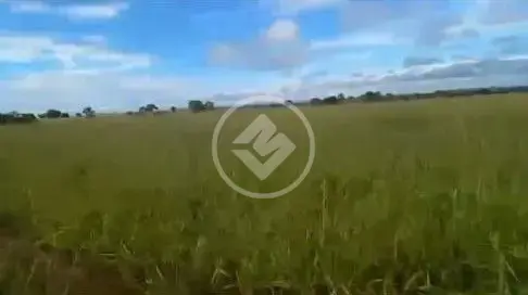 Imagem 5 - Fazenda em Centro, Araguaiana - MT