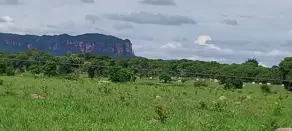 Fazenda Sena Marques, Barra do Garças - MT — foto 2