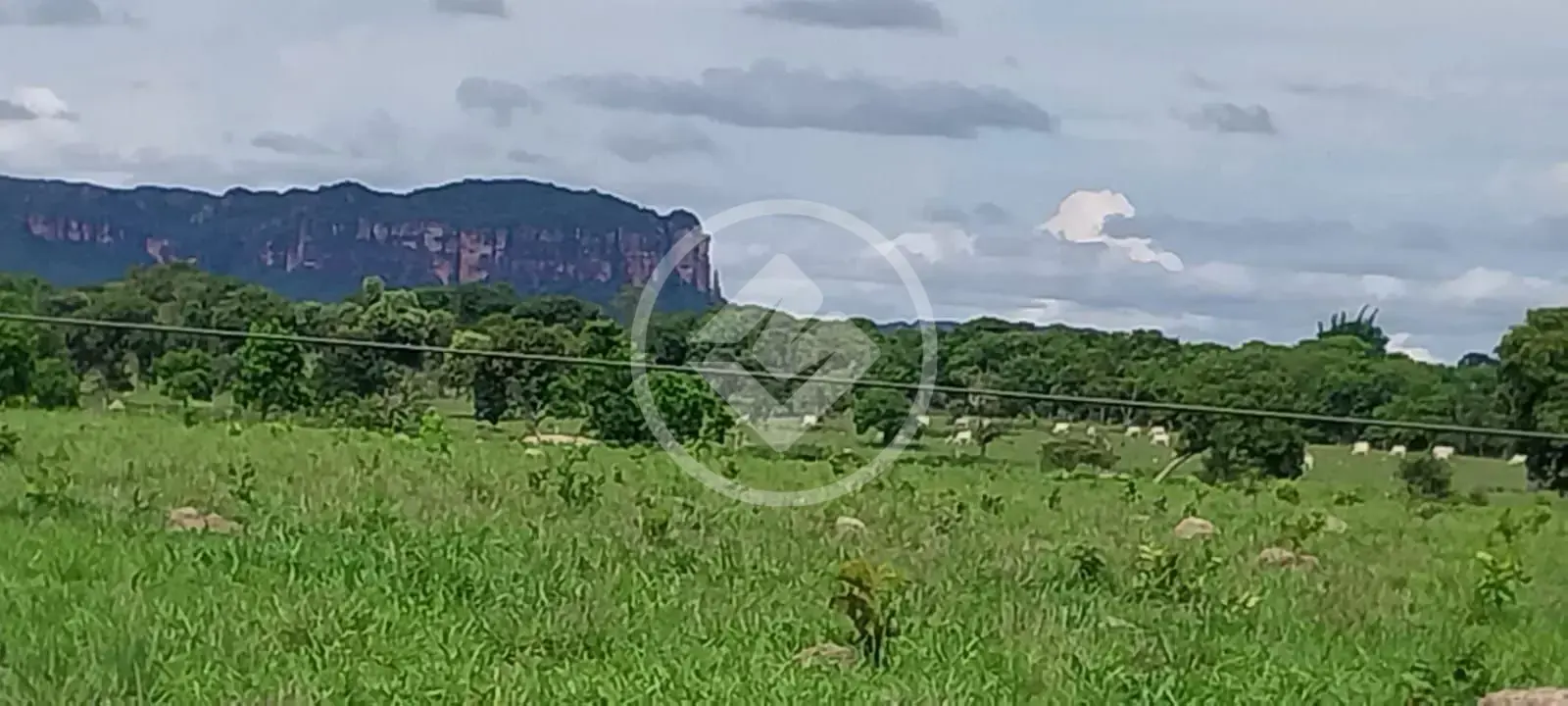 Imagem 1 - Fazenda em Sena Marques, Barra do Garças - MT