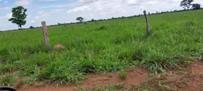 Imagem 2 - Fazenda em Sena Marques, Barra do Garças - MT