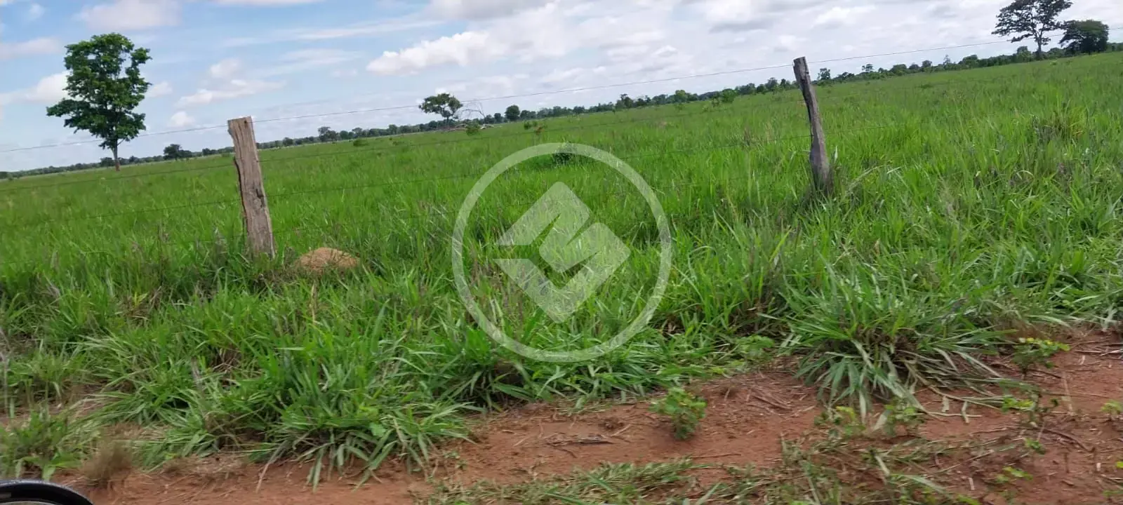 Imagem 2 - Fazenda em Sena Marques, Barra do Garças - MT