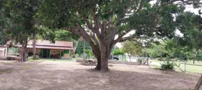 Imagem 3 - Fazenda em Sena Marques, Barra do Garças - MT