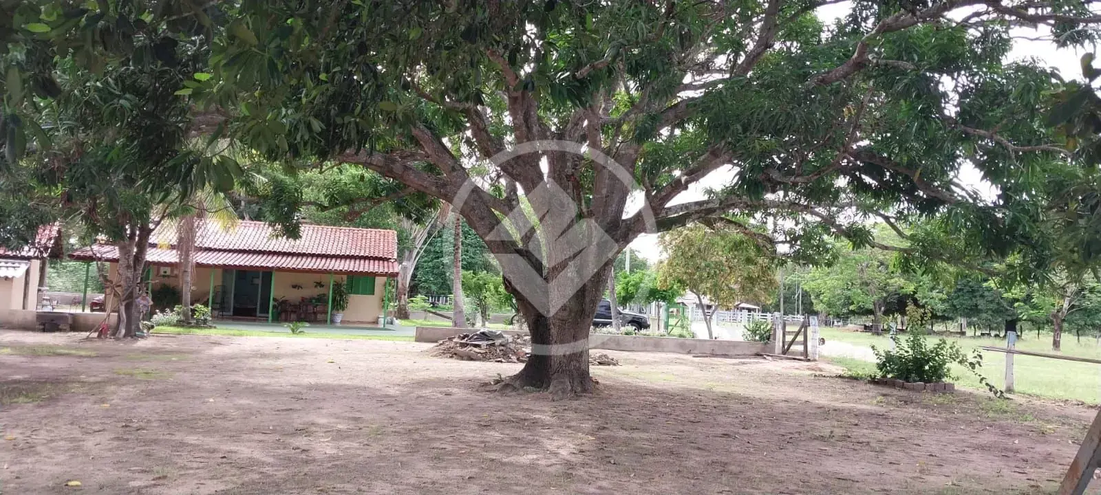 Imagem 3 - Fazenda em Sena Marques, Barra do Garças - MT