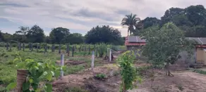 Imagem 4 - Fazenda em Sena Marques, Barra do Garças - MT