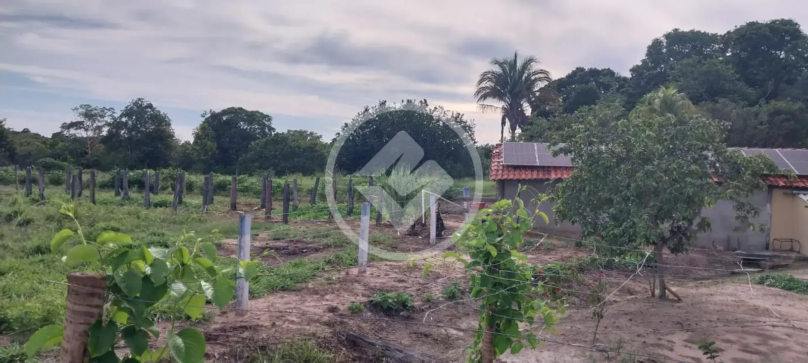 Imagem 4 - Fazenda em Sena Marques, Barra do Garças - MT