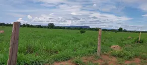 Imagem 5 - Fazenda em Sena Marques, Barra do Garças - MT