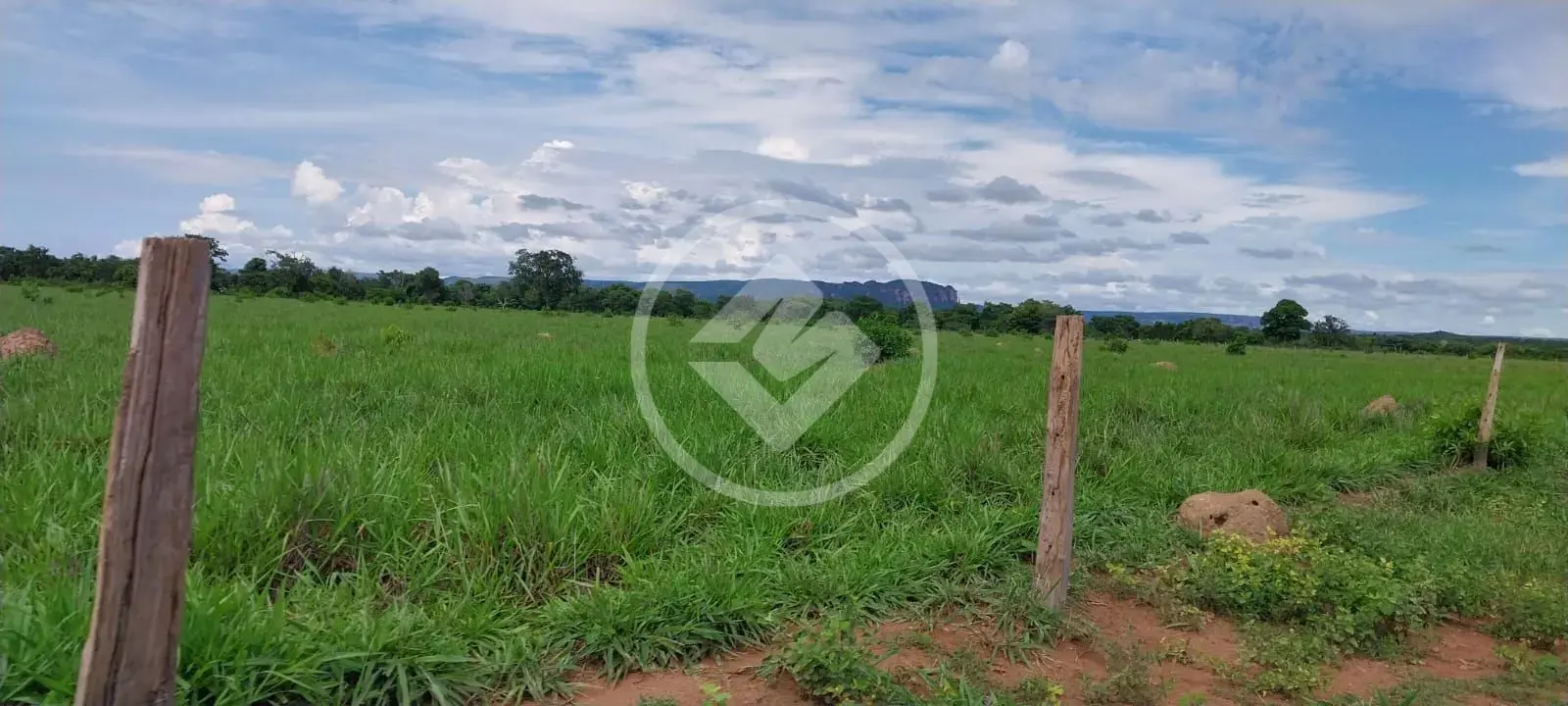 Imagem 5 - Fazenda em Sena Marques, Barra do Garças - MT