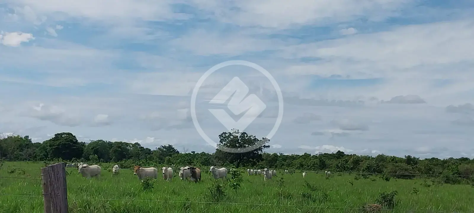 Image 8 - Fazenda em Sena Marques, Barra do Garças - MT