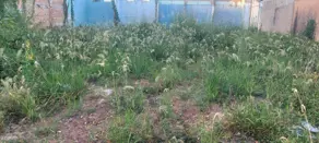 Imagem 3 - Terreno em Loteamento São Benedito, Barra do Garças - MT