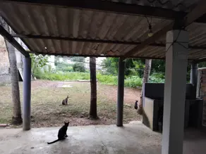 Imagem 3 - Casa em Centro, Barra do Garças - MT