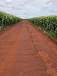 Imagem 2 - Fazenda em Fazenda Boa Vista, nº 0, Fazenda Boa vista, 17 Km de Rio Verde, Rio Verde - GO