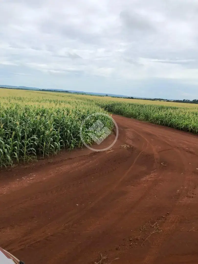 Imagem 3 - Fazenda em Fazenda Boa Vista, nº 0, Fazenda Boa vista, 17 Km de Rio Verde, Rio Verde - GO