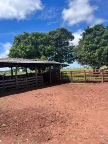 Fazenda Setor Central, Novo São Joaquim - MT — foto 1