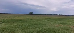 Fazenda Sena Marques, Barra do Garças - MT — foto 1