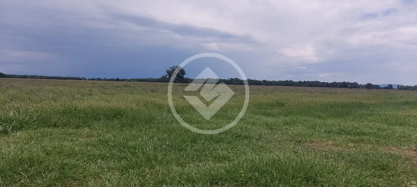 Imagem 1 - Fazenda em Sena Marques, Barra do Garças - MT