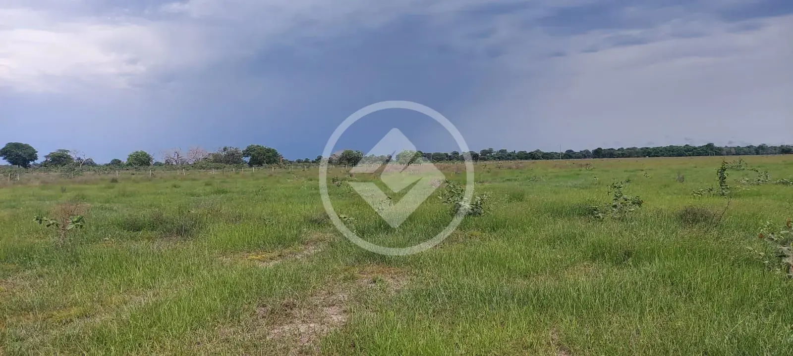 Imagem 6 - Fazenda em Sena Marques, Barra do Garças - MT