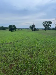 Fazenda Sena Marques, Barra do Garças - MT — foto 2