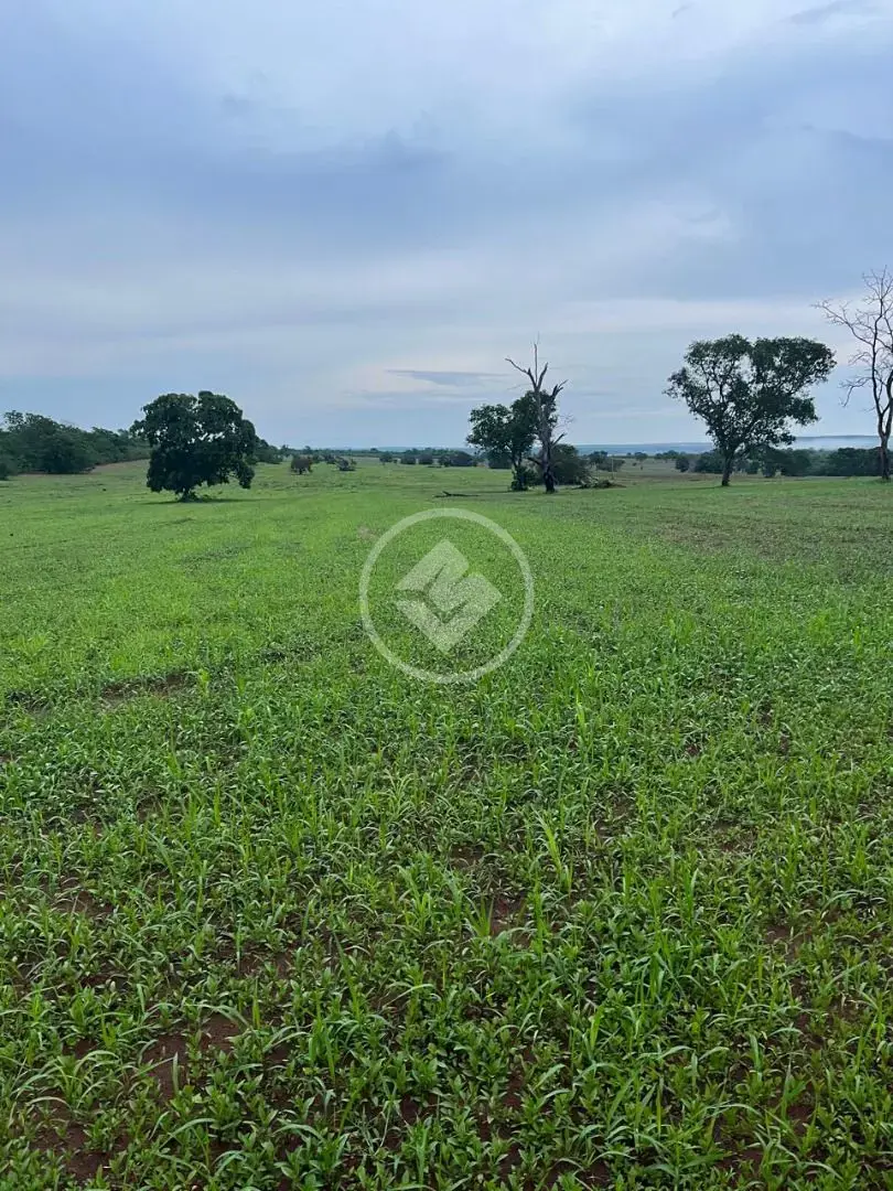 Imagem 1 - Fazenda em Sena Marques, Barra do Garças - MT