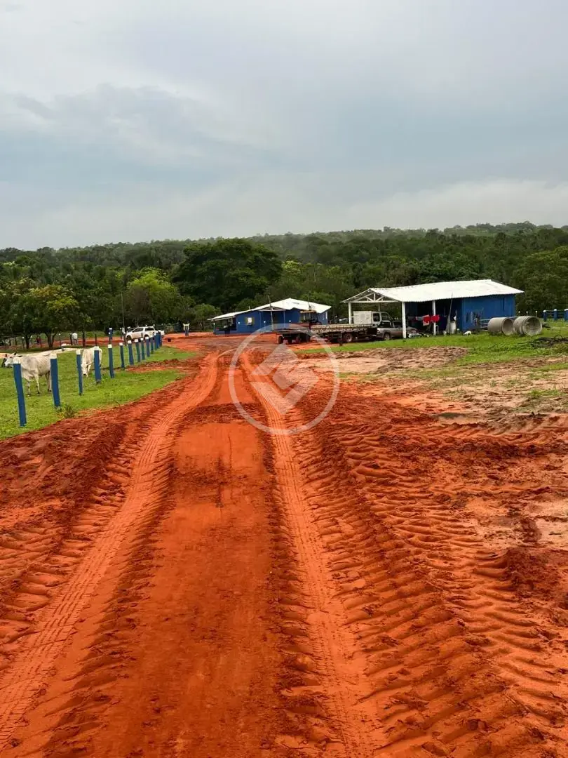 Imagem 1 - Fazenda em Sena Marques, Barra do Garças - MT