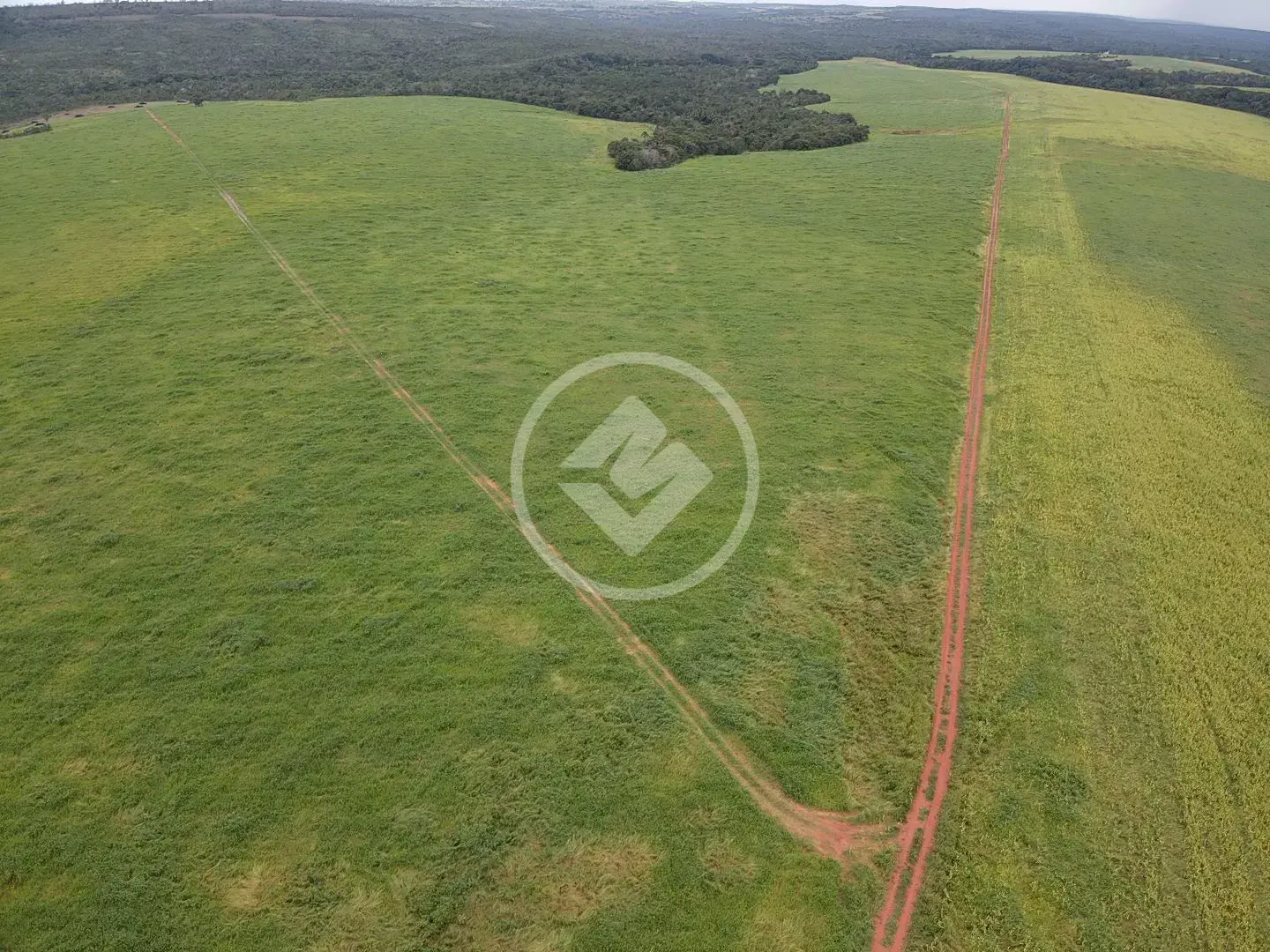 Imagem 4 - Fazenda em Sena Marques, Barra do Garças - MT