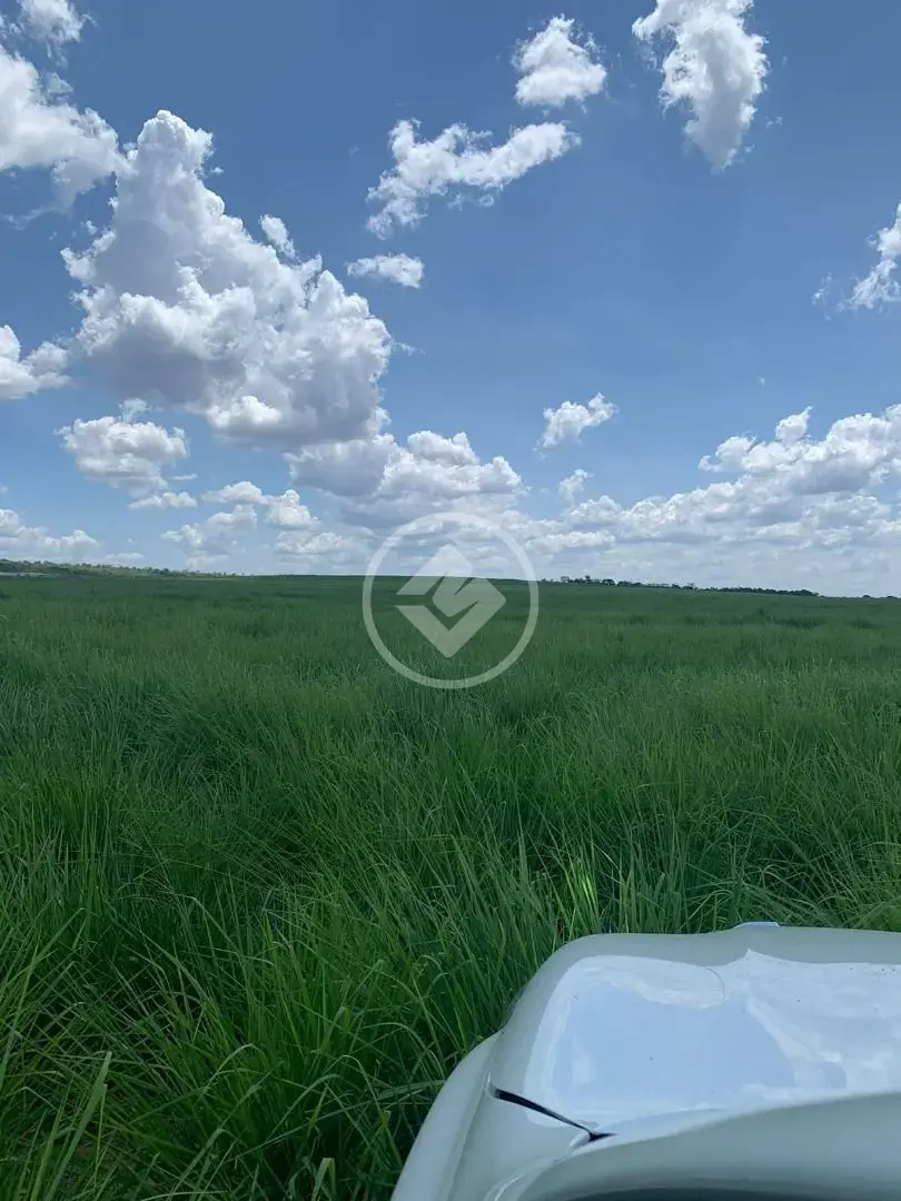 Imagem 5 - Fazenda em Sena Marques, Barra do Garças - MT