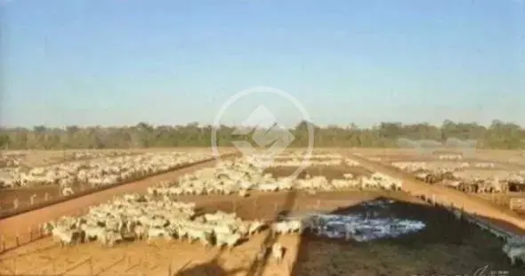 Imagem 1 - Fazenda em Setor Central, Jussara - BA