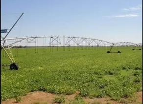 Fazenda Setor Central, Jussara - BA — foto 2