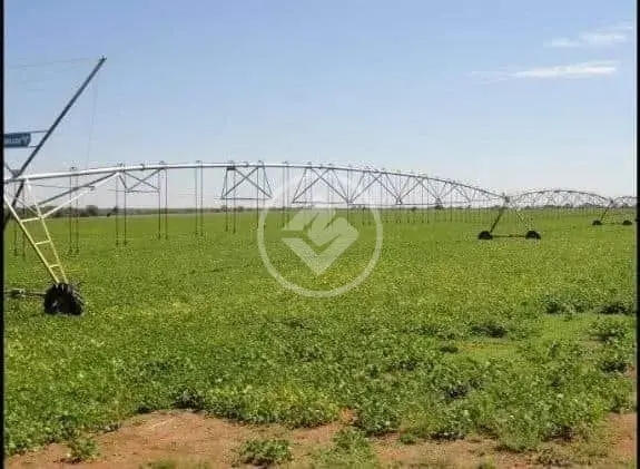 Imagem 1 - Fazenda em Setor Central, Jussara - BA