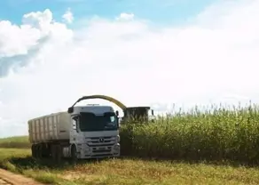 Imagem 3 - Fazenda em Setor Central, Jussara - BA
