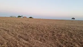 Fazenda Loteamento Carvalho, Mineiros - GO — foto 1