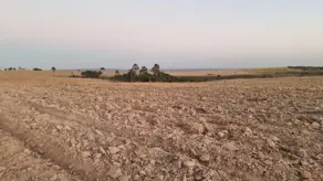 Fazenda Loteamento Carvalho, Mineiros - GO — foto 2