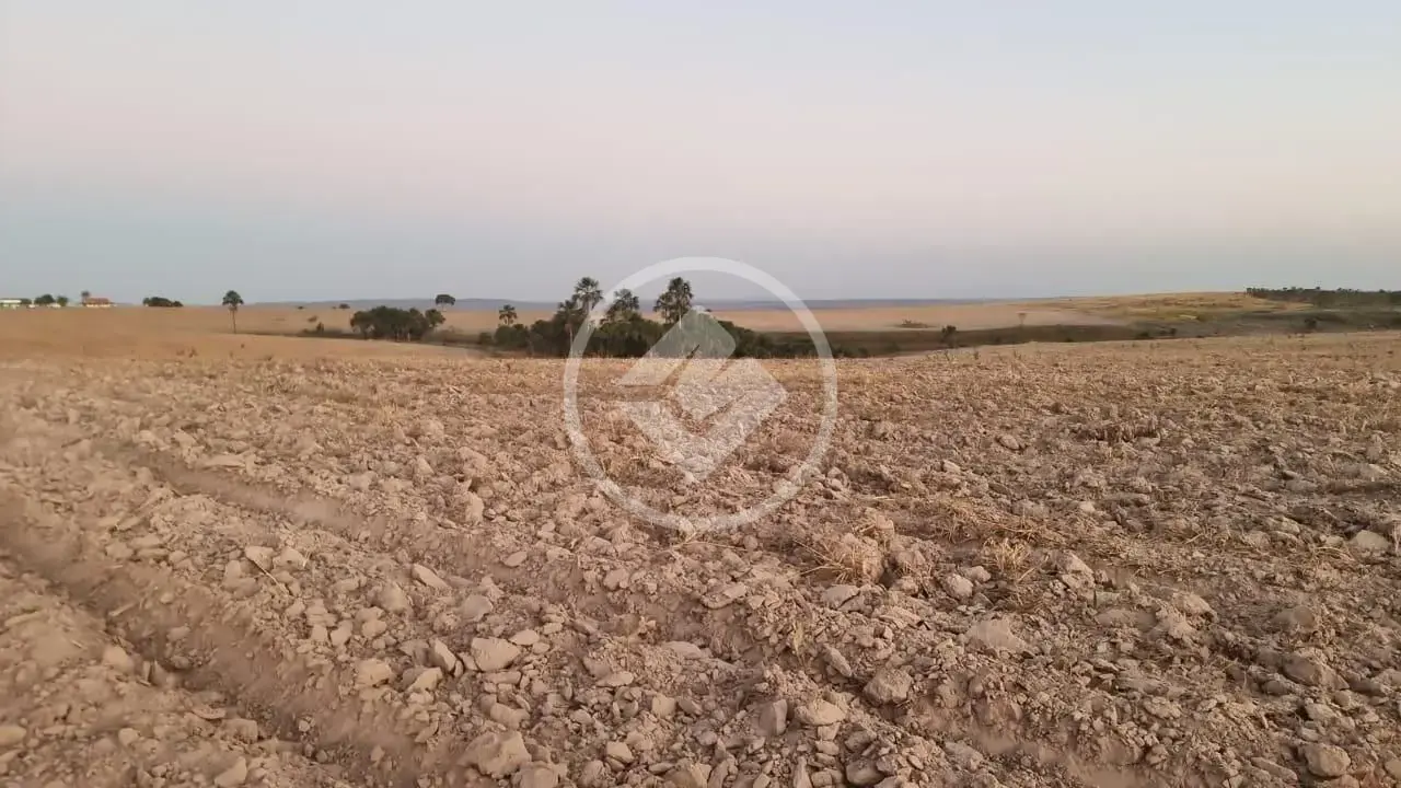 Image 2 - Fazenda em Loteamento Carvalho, Mineiros - GO