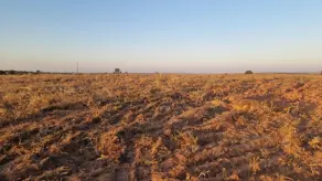 Imagem 2 - Fazenda em Loteamento Carvalho, Mineiros - GO