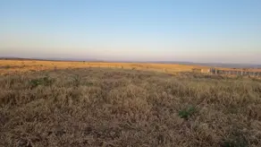 Imagem 5 - Fazenda em Loteamento Carvalho, Mineiros - GO