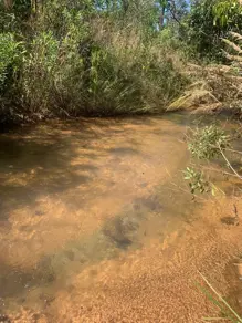 Imagem 6 - Fazenda em Loteamento Carvalho, Mineiros - GO