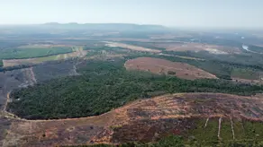Imagem 2 - Fazenda em Sena Marques, Barra do Garças - MT