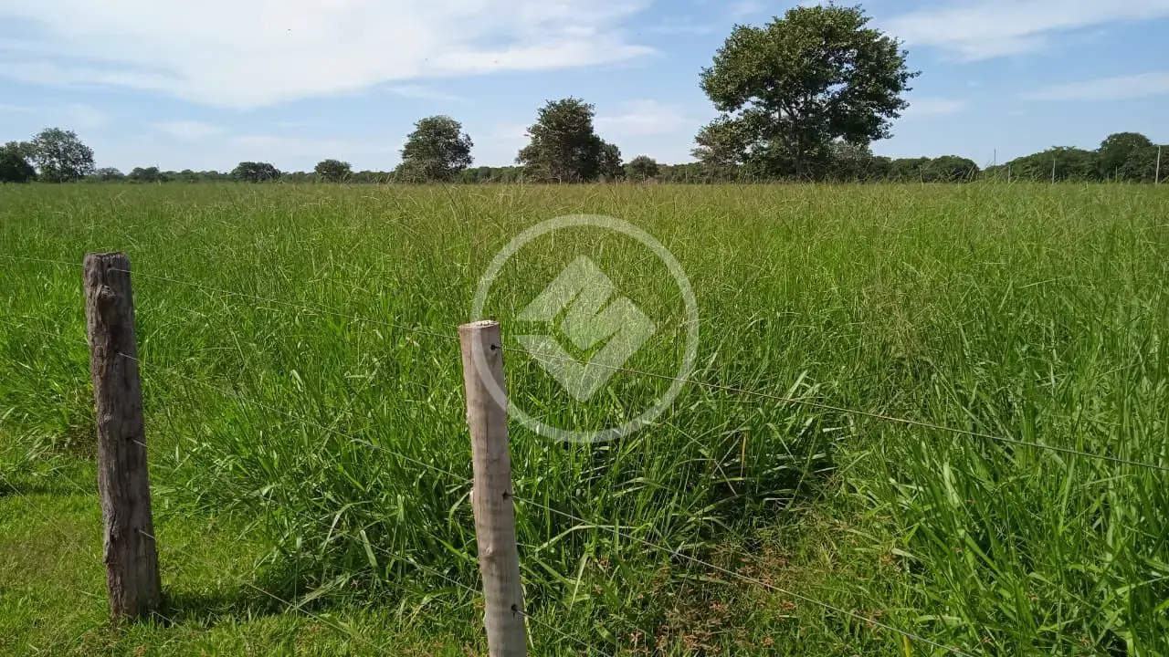 Imagem 4 - Fazenda em Centro, Cocalinho - MT