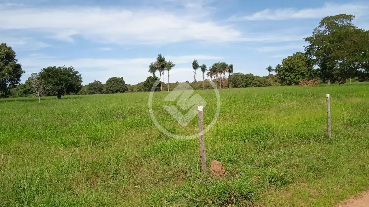 Imagem 5 - Fazenda em Centro, Cocalinho - MT