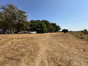 Fazenda Sena Marques, Barra do Garças - MT — foto 2