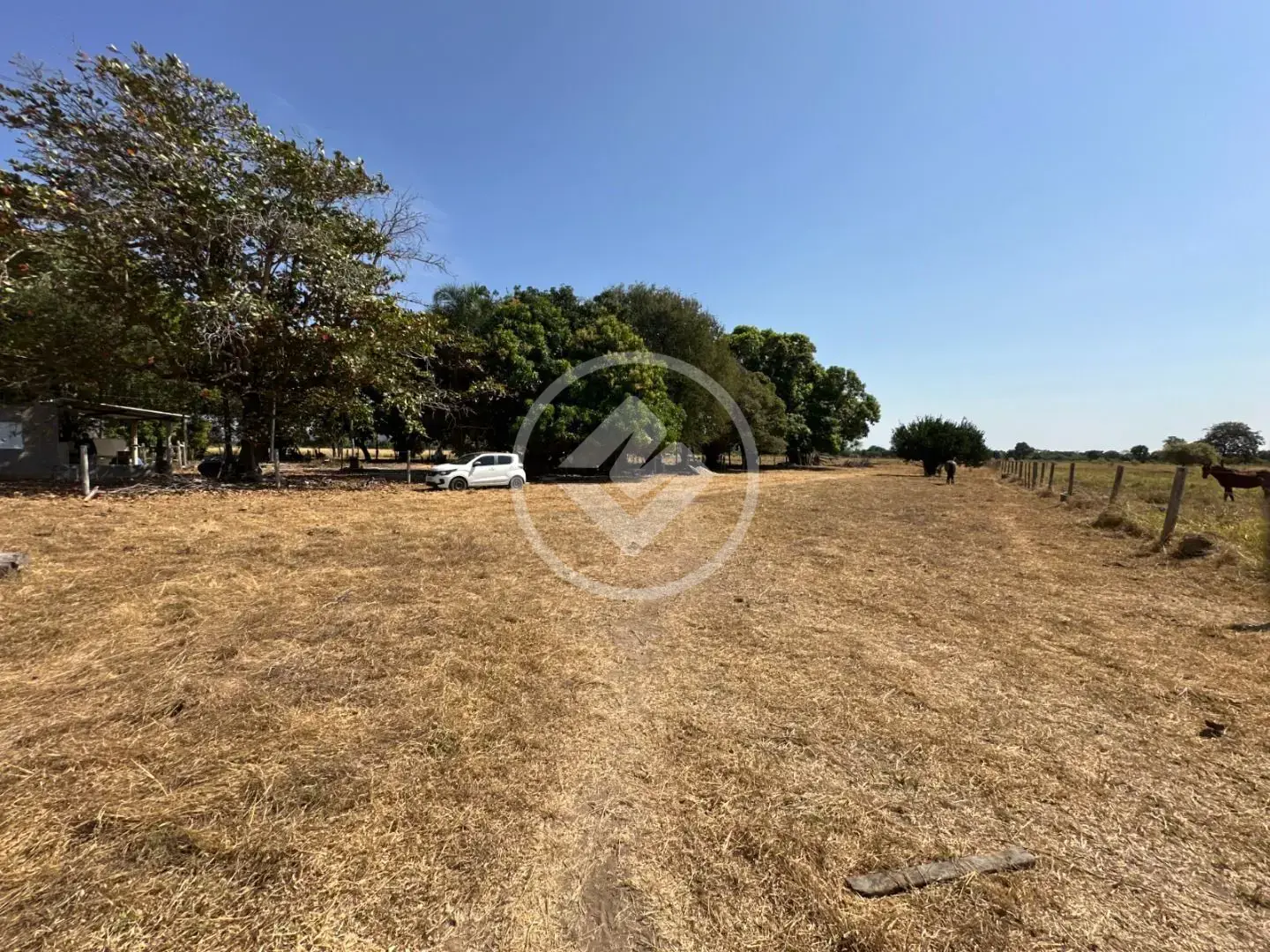 Imagem 1 - Fazenda em Sena Marques, Barra do Garças - MT