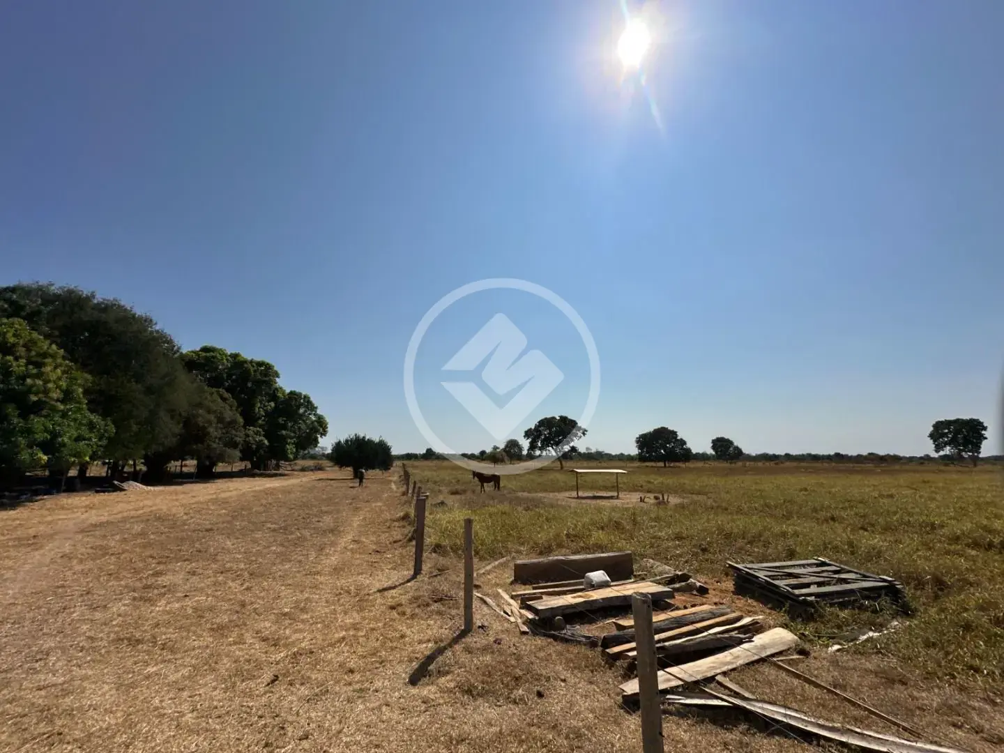 Imagem 3 - Fazenda em Sena Marques, Barra do Garças - MT
