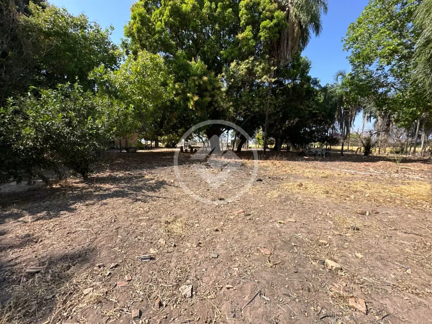 Imagem 5 - Fazenda em Sena Marques, Barra do Garças - MT