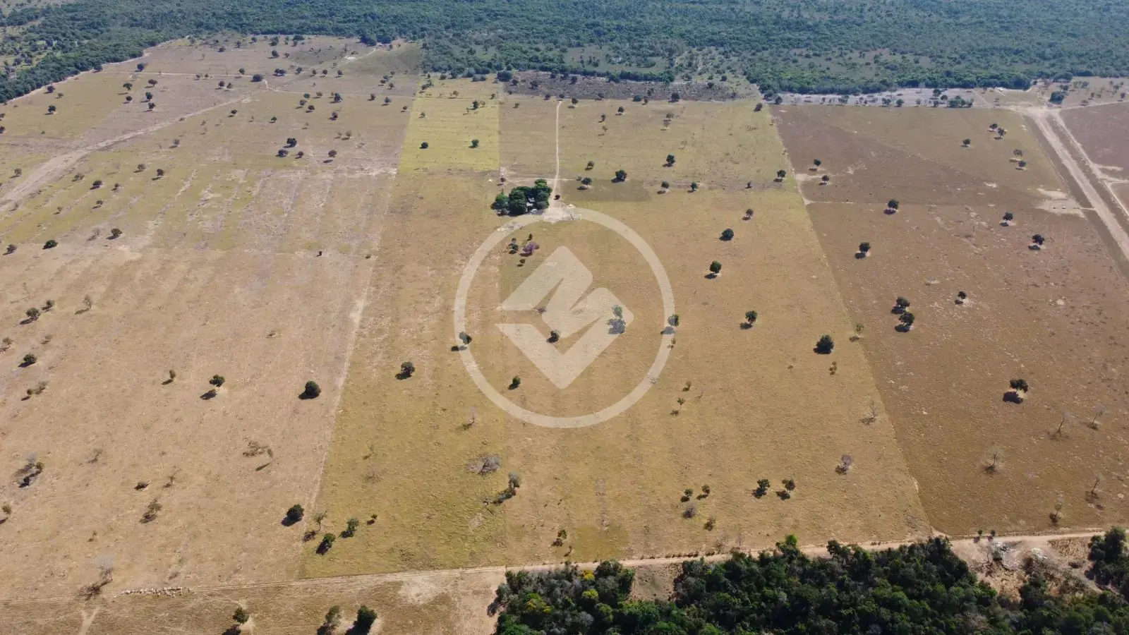 Imagem 6 - Fazenda em Sena Marques, Barra do Garças - MT