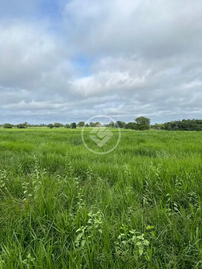 Imagem 1 - Fazenda em Centro, Cocalinho - MT