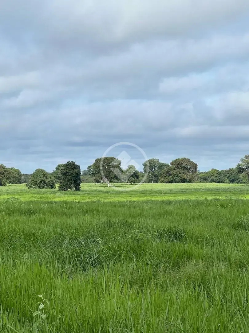 Imagem 2 - Fazenda em Centro, Cocalinho - MT
